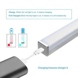 Melbon 20 LED, 30 CM Motion Sensor, Rechargable Battery Lightin Stick Smart LED Lights